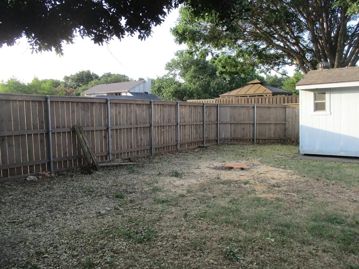 Cleared yard after professional tree removal in Audubon